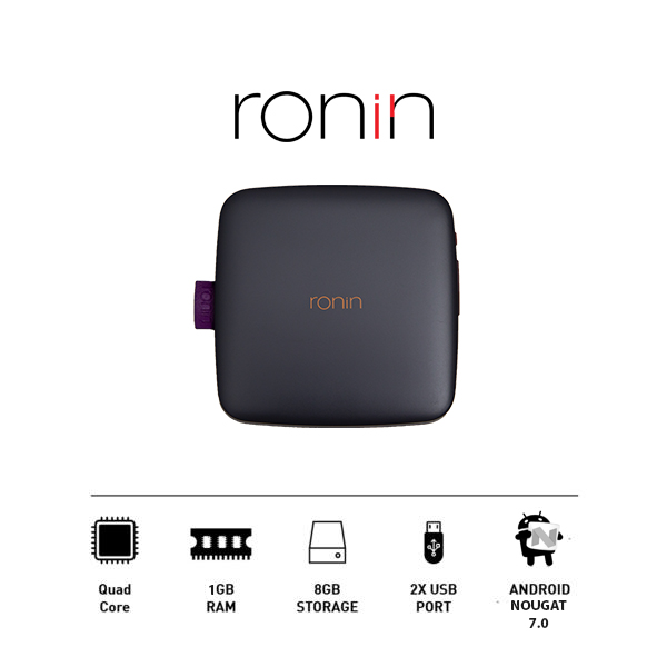 ronin
