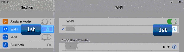 How to change DNS in iOS